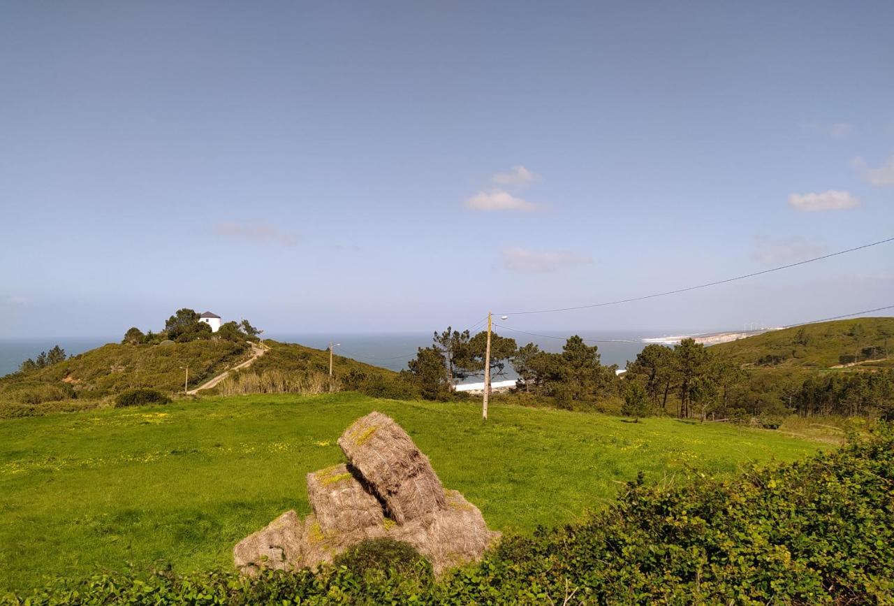 Sunflower Sea View With Magnificent Terrace In Serra Da Pescaria, Nazare - Portugal Exterior photo
